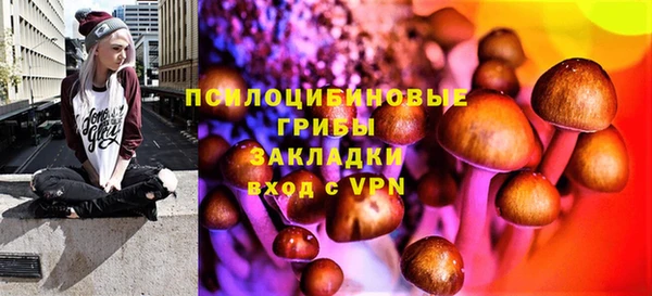 меф Ладушкин