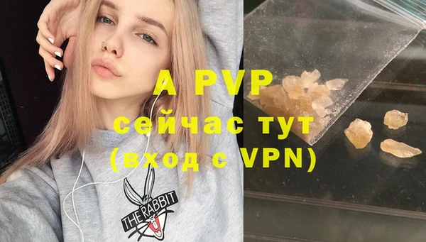 дживик Лагань