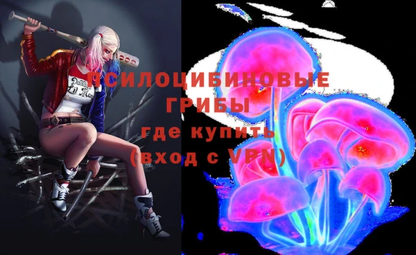меф Ладушкин