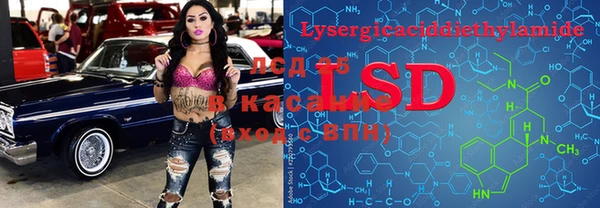 гашик Лабытнанги