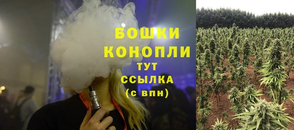 дживик Лагань