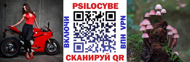 Галлюциногенные грибы мухоморы  где купить наркотик  Мелеуз 